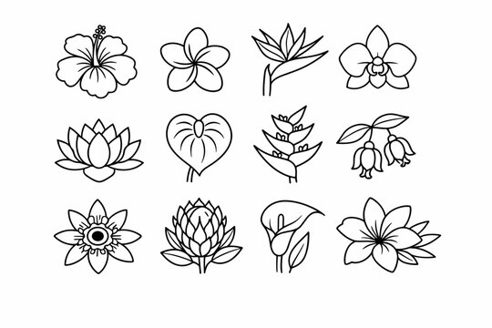 Collection of Tropical and Exotic Flower Line Art Icons, Minimalist Black and White Vector Illustration of Hibiscus, Plumeria, Orchid, Lotus, Anthurium, Bird of Paradise, Protea, and Calla Lily Flora