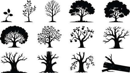 Tree Silhouette Icon Collection Set Nature Tree Typography Silhouette Icon Pack © logodesign11