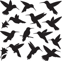 Obraz premium hummingbird silhouette vector set