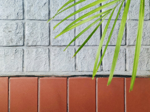 Top view of green palm leaves over a grey stone walkway and red terracotta floor tiles