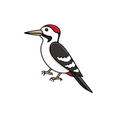 Fototapeta premium Cartoon illustration of a spotted woodpecker with a red crown and black markings on a white background