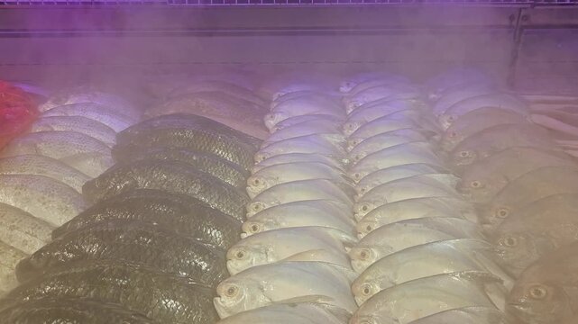 Bulk frozen silver fish, likely Tenualosa ilisha or sardines, packed in commercial blocks for South Asian cuisine.
