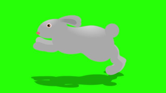 Grey cartoon rabbit 4k stock animation video on a green screen background for chroma key video editing.