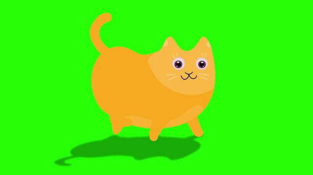 Dark Yellow cartoon cat 4k stock animation video on a green screen background for chroma key background for video editing.