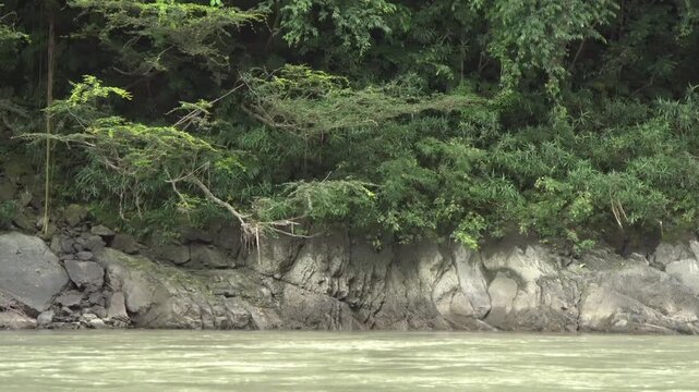 Muddy tropical river with large rocks in Peruvian rainforest wilderness 4K