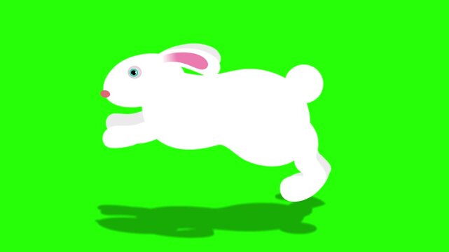 White cartoon rabbit against 4k stock animation video on a green screen background for chroma key video editing.