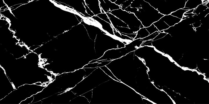 Black and White Marble Veins: An intricate network of contrasting white veins sprawls across the deep black marble, creating a captivating pattern of elegance and geological artistry.