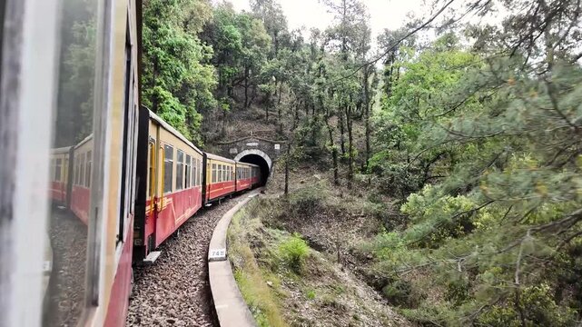 Colorful heritage train approaches a dark tunnel entrance in forest.