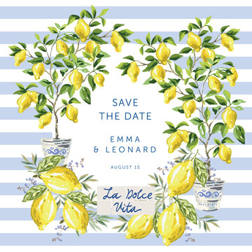 Lemon trees in the pots, yellow lemon fruits, text La Dolce Vita, striped white background. Wedding card, poster, banner template. Vector illustration. Summer trendy design