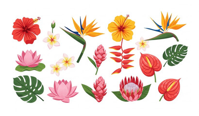 Tropical flower vector collection with exotic botanical blooms isolated on white background © MARKNIS