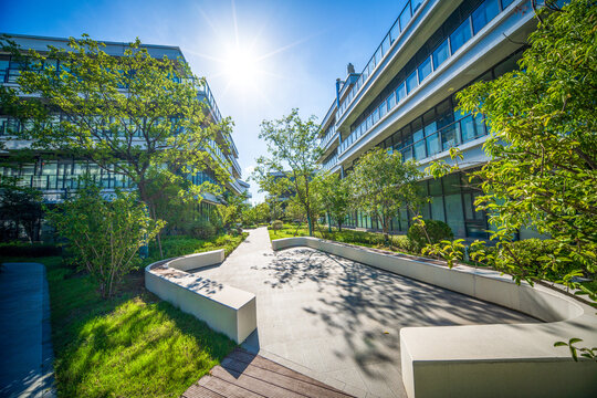 Contemporary Urban Garden with Lush Greenery and Modern Architectural Design