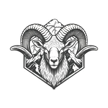 Detailed illustration of a rams head 1.