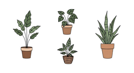 Fototapeta premium Plants in Pots for Home Decor, Indoor Garden, Nature, Lifestyle, Design Concepts