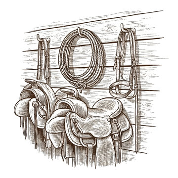 Horse Riding Saddle and Equipment.