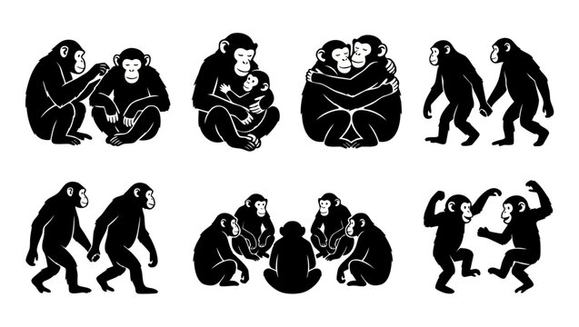 Chimpanzee Silhouette Set Collection, Social Animal Behavior Icons, Bonding and Playing Chimps Vector Illustration for Wildlife Design Projects, Creative Logo Elements in Flat Black Graphic Style Desi