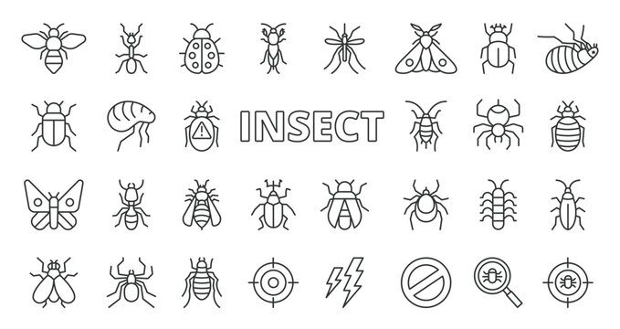 Insect icons in line design. insect, bug, beetle, butterfly, fly, ant, nature on white background vector. Insect editable stroke icons