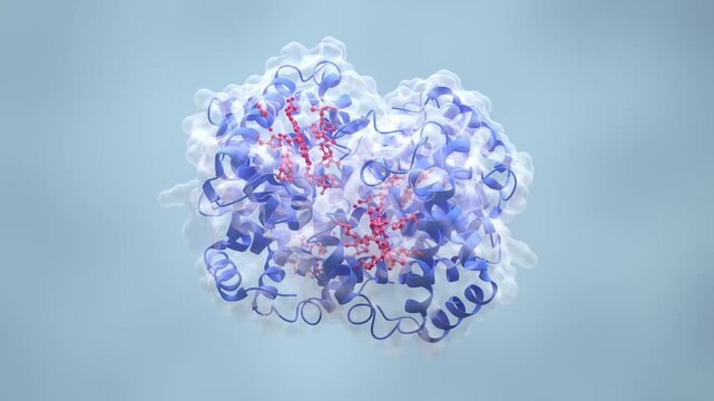 Rotating Protein Structure 3D Animation for Drug Research