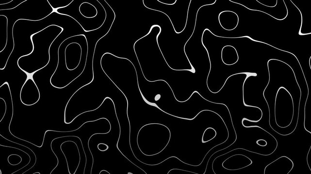 Seamless loop 2D animation of white parametric topographic curves on dark background for tech and geography concepts