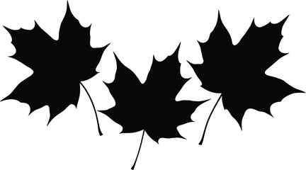 Fototapeta premium Three black maple leaves on a white background simple illustration