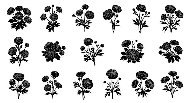 Collection of stylized black silhouette ranunculus flower sprigs and bouquets isolated on white background elegant botanical illustrations for design projects and decorative use