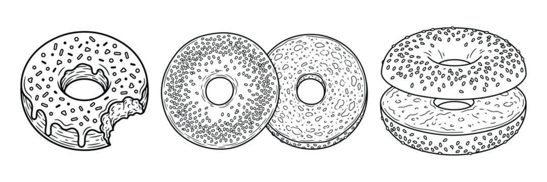 Donut and bagel bakery items vector illustration with bite marks sesame seeds and frosting detail.