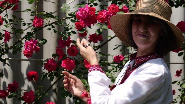 Portrait of adult smiling woman wearing a traditional ukrainian vyshyvanka among blooming red roses in summer garden. This scene expresses femininity, cultural heritage and national identity