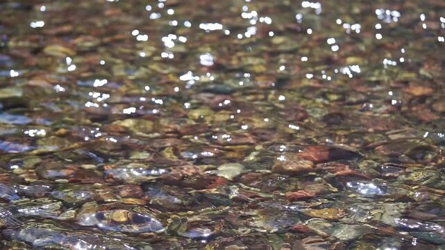A close-up shot of a clear, shallow stream flowing over smooth, multi-colored pebbles and stones. Bright sunlight creates shimmering reflections and bokeh effects on the water surface, highlighting th
