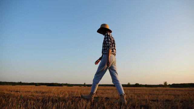Adult agronomist in straw hat walking among barley plantation at dusk. Female farmer going through wheat meadow at sunset. Beautiful scenic landscape. Concept of agricultural business. Slow motion