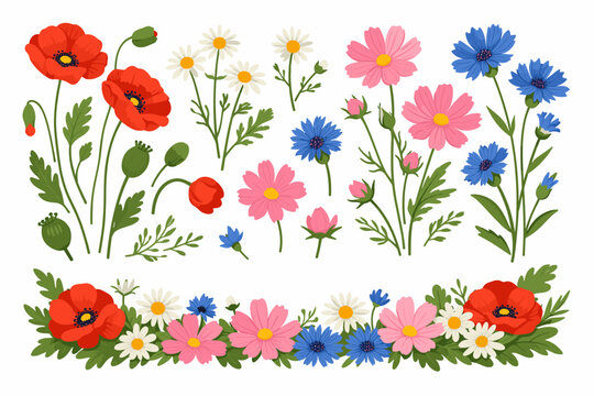 Summer Meadow Flower Collection with Hand-painted Red Poppies, White Chamomiles, Pink Cosmos, and Blue Cornflowers. Botanical Illustration Set with Wildflower Border for Floral Design Projects.