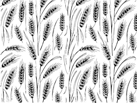 Black and white hand-drawn wheat stalks pattern white background, grain field harvest