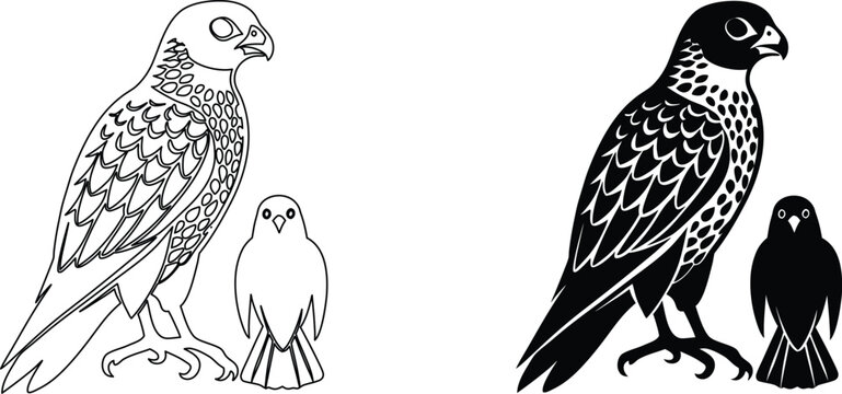 Falcon family icons featuring detailed line art and bold silhouette for avian graphic set.