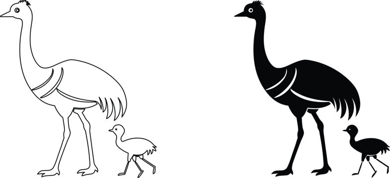 Ostrich family icons with outline and solid silhouette design for nature wildlife graphic.