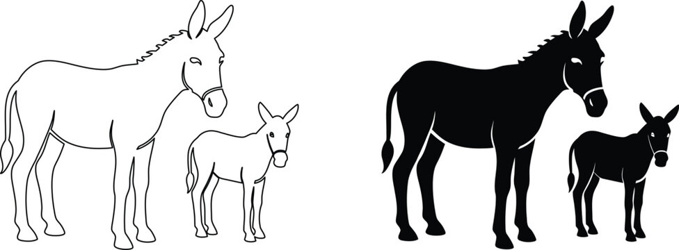 Set of donkey family illustrations showing parent and foal standing together as vectors.
