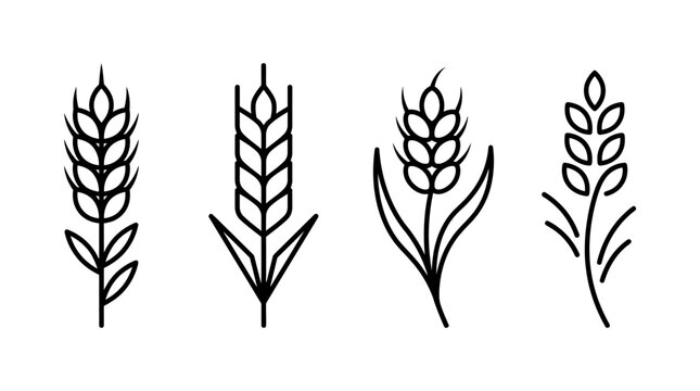 Collection of Wheat Stalk Icons Vector Art
