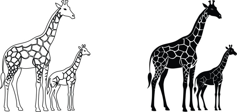 African giraffe and calf silhouettes with intricate skin pattern line art isolated on white.