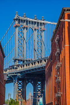 Dumbo