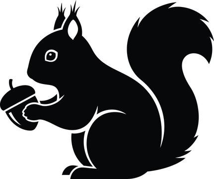Black squirrel holding acorn sitting upright