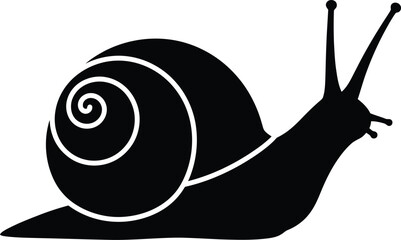 Black snail crawling on a smooth surface © AlAminHosssain