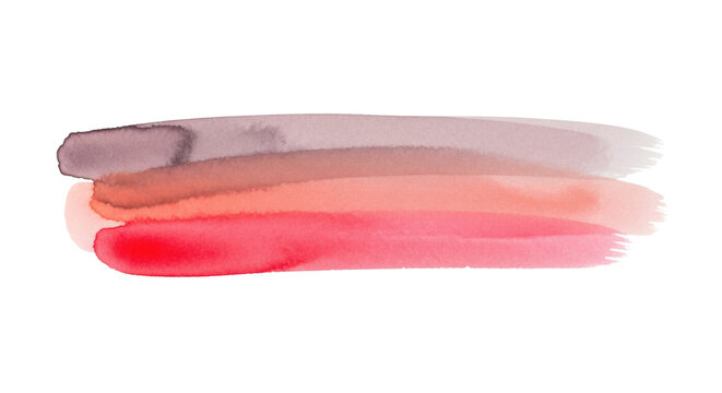 abstract watercolor paint swatch blending dusty rose, salmon, and vibrant coral, showcasing hyper-realistic granulation texture on a transparent background with copy space. concept for sophisticated