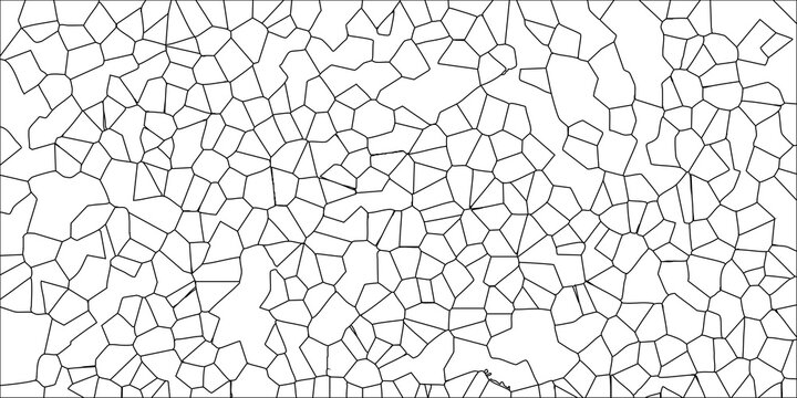 Abstract Geometric Voronoi Pattern Black Lines White Background Seamless Tessellation Organic Cell Structure