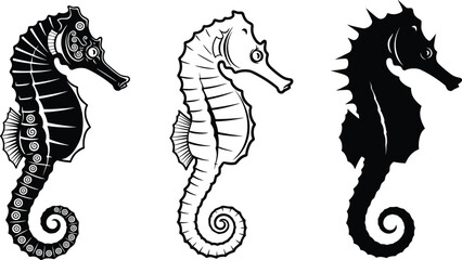 Seahorse Vector Set with Detailed Designs and Elegant Poses for Marine Life and Ocean IllustrationsSeahorse Vector Set with Detailed Designs and Elegant Poses for Marine Life and Ocean Illustrations © Abdur