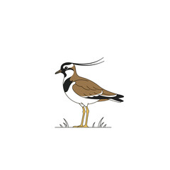 Obraz premium This image features a clean, minimal illustration of a small bird standing on the ground