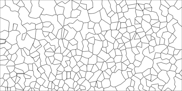 Black and white abstract cellular network pattern of irregular polygons and lines on a white background for organic or scientific themes