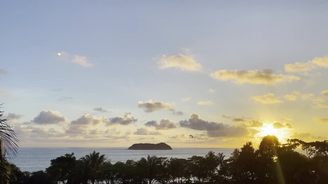 Golden sunset bathes ocean horizon with distant island and paraglider soaring gracefully above silhouetted palms creating magical tropical evening
