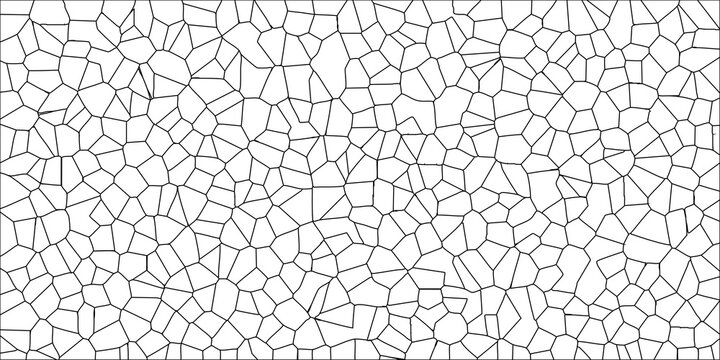 Black and white abstract geometric mosaic pattern of diverse polygonal shapes and connecting lines on a white background for intricate designs