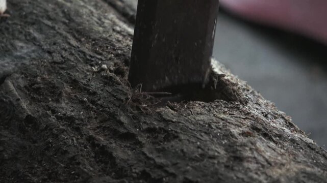 A detailed close-up shot of a skilled craftsman using a traditional metal chisel to carve a deep rectangular mortise hole into a solid piece of high-quality teak wood. The handheld perspective adds a 