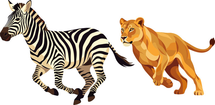 Predator lioness chasing a zebra in a high-speed nature pursuit