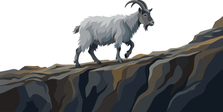 Sure-footed mountain goat walking along a steep rocky ledge