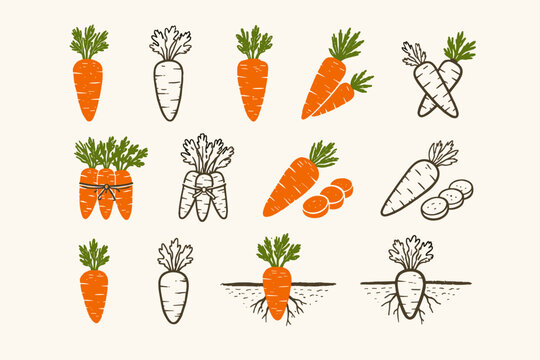 Rustic Hand Drawn Carrot Icons Set featuring Textured Vector Silhouettes and Outline Symbols. Perfect for Organic Food Branding, Gardening Projects, Healthy Eating Graphics, and Kitchen Decor.
