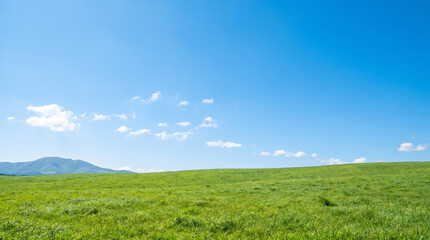 Obraz premium A serene landscape of a green field under a blue sky with distant mountains.
